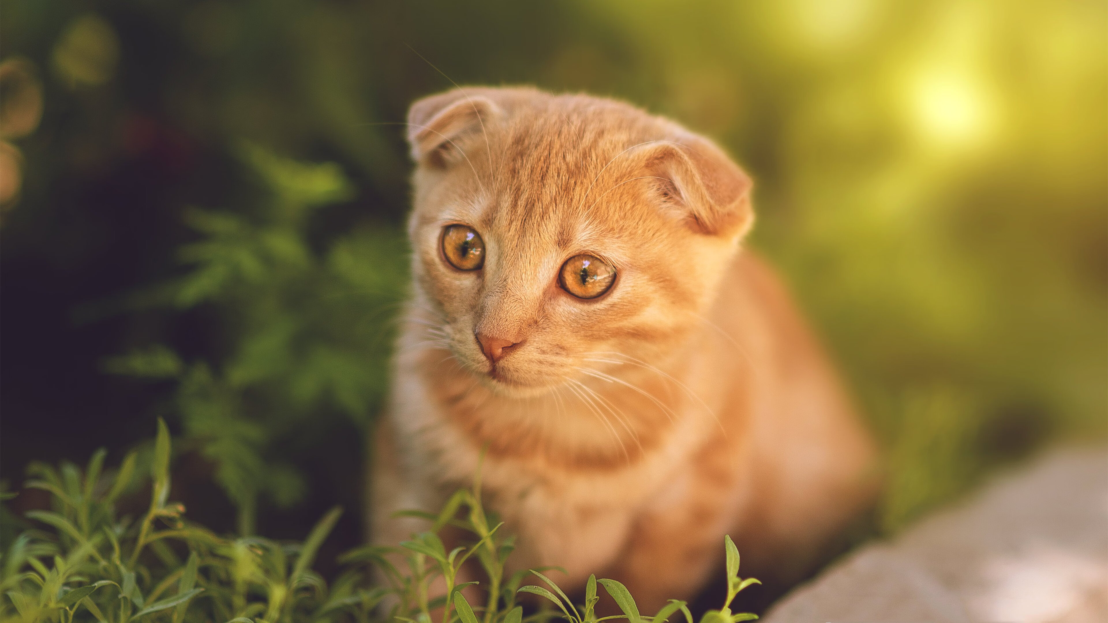 全民娱乐：家庭版台球比赛受热捧，家庭台球室效果图