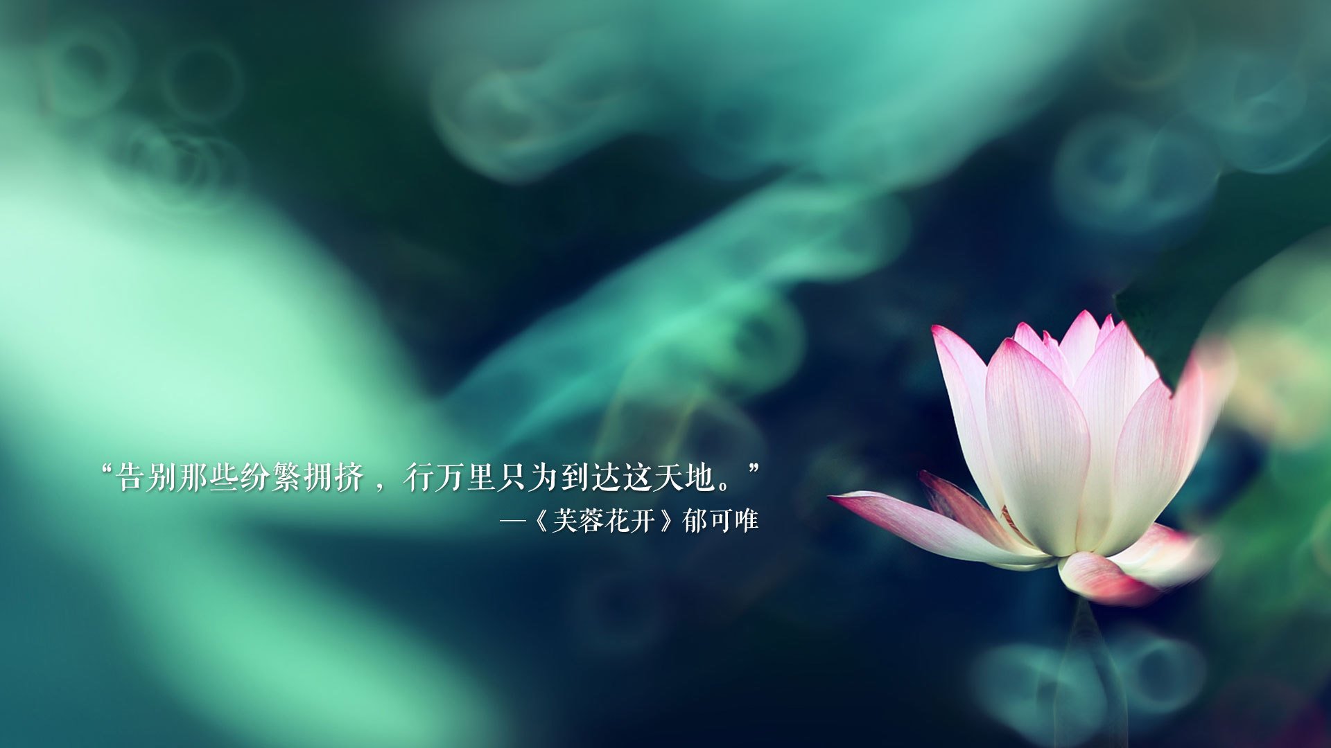普拉提课程引入智能设备，提升训练效果，普拉提设施