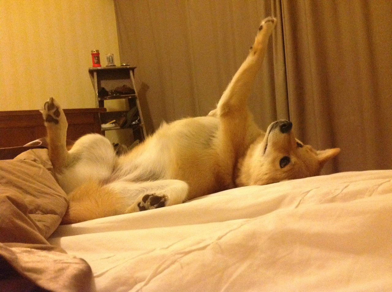 b体育平台-LCK赛季总结及展望，lck新赛季阵容