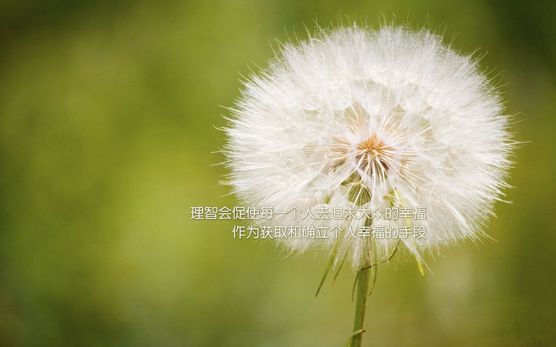 亚洲杯U23国足惨败 技术分析引深思，亚洲u23男足锦标赛