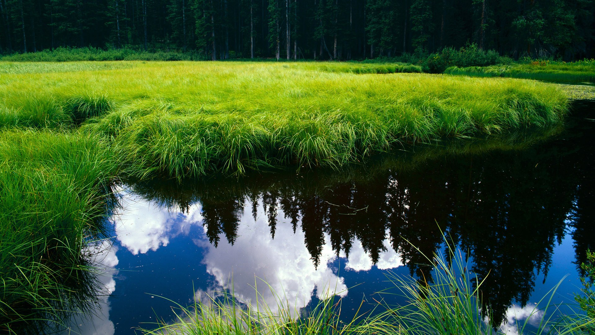 BSPORT APP-印度队未来：加大资源投入，打造世界级乒乓球队伍，印度乒乓球员