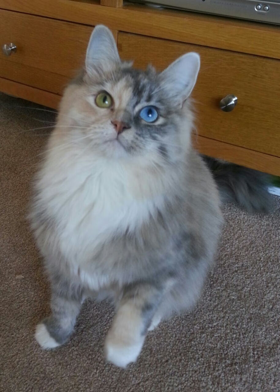 搏击台上选手实力对决精彩纷呈,搏击擂台