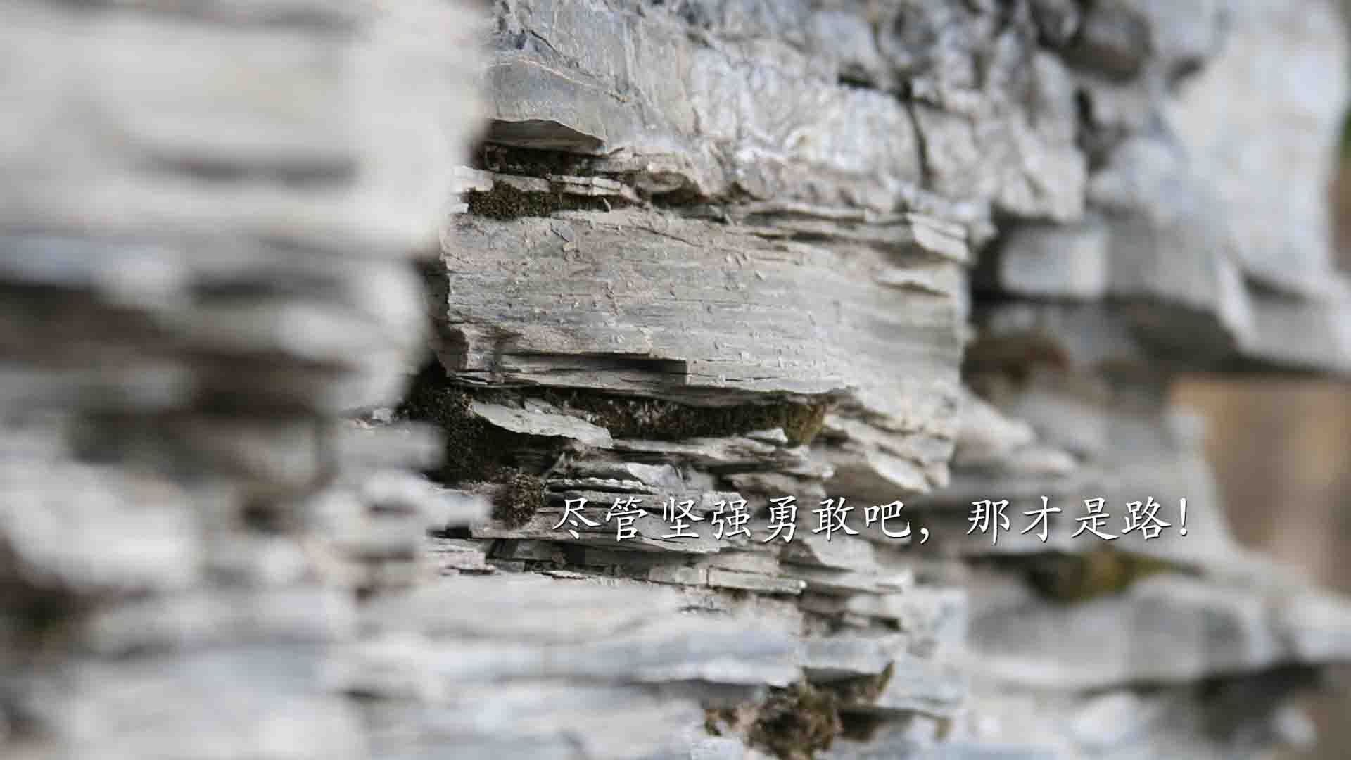 青少年马术公开赛强调马匹人文关怀教育，青少年马术障碍赛