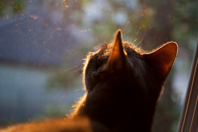 库里称赞年轻球员进步迅速,库里今年个人表现