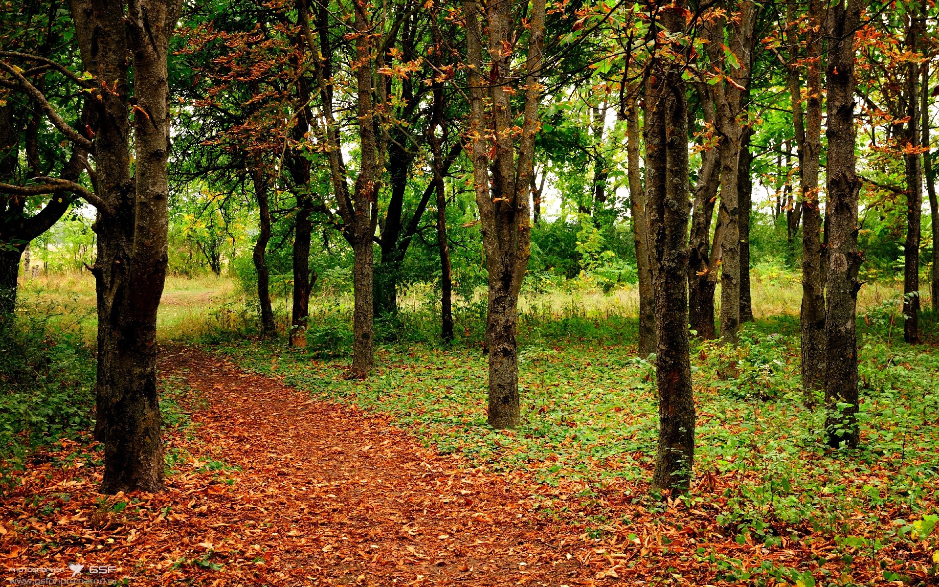 B体育网页版登录-澳大利亚袋鼠队的传球速度和对抗力度形成独特优势，澳大利亚袋鼠打拳