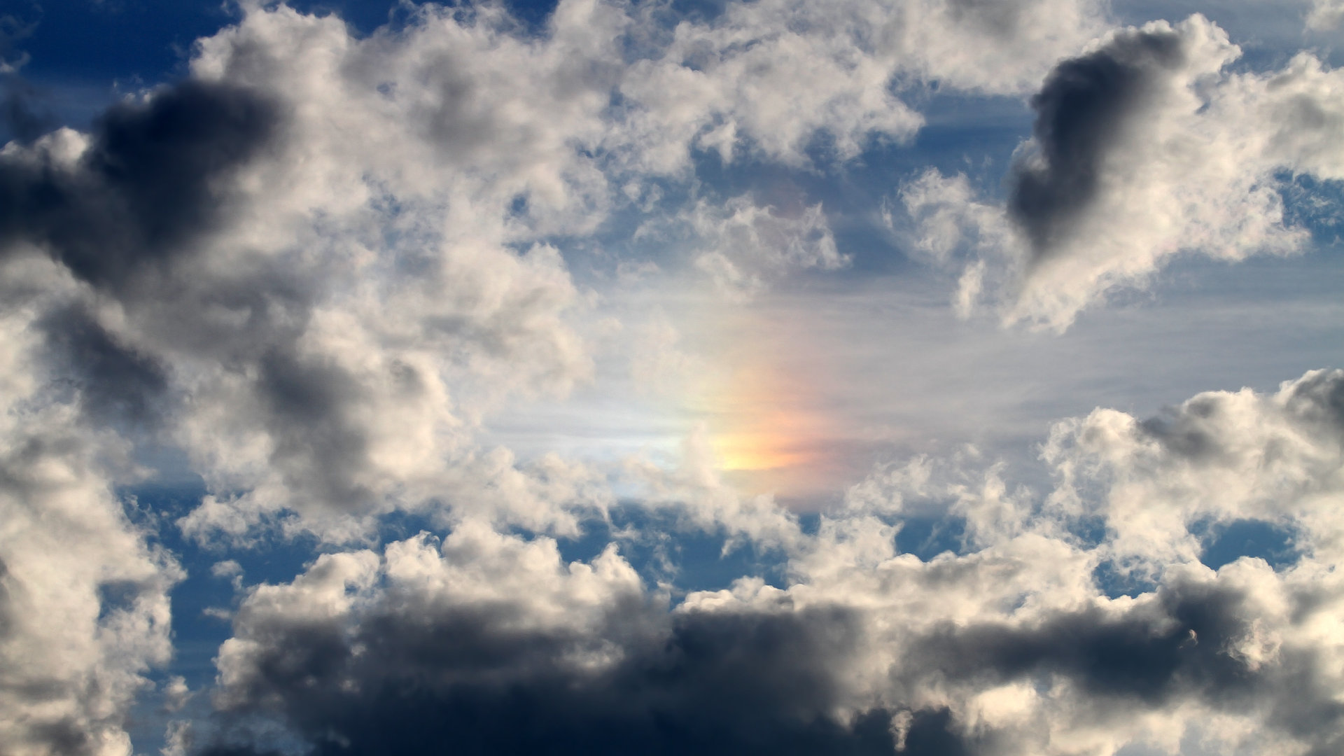 B 体育官网-莫莉·奥卡拉汉冲刺力十足赢得掌声，奥斯卡莫利亚